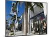 Rodeo Drive, Beverly Hills, California, USA-Ethel Davies-Mounted Photographic Print