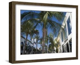Rodeo Drive, Beverly Hills, California, USA-Ethel Davies-Framed Photographic Print