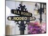 Rodeo Drive, Beverly Hills, Los Angeles, California, United States of America, North America-Gavin Hellier-Mounted Photographic Print