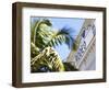 Rodeo Drive, Beverly Hills, Los Angeles, California, United States of America, North America-Gavin Hellier-Framed Photographic Print