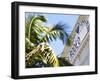 Rodeo Drive, Beverly Hills, Los Angeles, California, United States of America, North America-Gavin Hellier-Framed Photographic Print