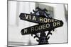 Rodeo Drive, Beverly Hills, Los Angeles, California-Wendy Connett-Mounted Photographic Print