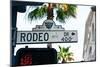 Rodeo Drive Hollywood-null-Mounted Art Print