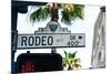 Rodeo Drive Hollywood-null-Mounted Art Print