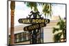 Rodeo Drive-null-Mounted Art Print