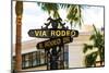 Rodeo Drive-null-Mounted Art Print