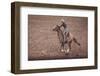 Rodeo II-Nathan Larson-Framed Photographic Print