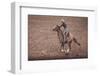 Rodeo II-Nathan Larson-Framed Photographic Print