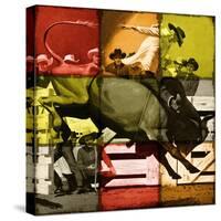 Rodeo in Tiles-null-Stretched Canvas