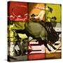 Rodeo in Tiles-null-Stretched Canvas