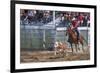 Rodeo in Valleyfield, Quebec, Canada-null-Framed Premium Giclee Print