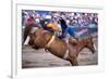 Rodeo in Valleyfield, Quebec, Canada-null-Framed Premium Giclee Print