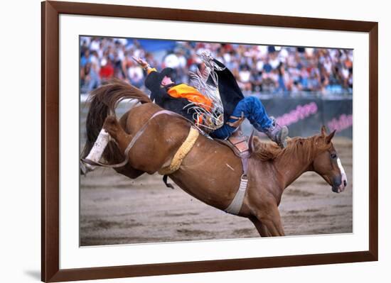 Rodeo in Valleyfield, Quebec, Canada-null-Framed Premium Giclee Print