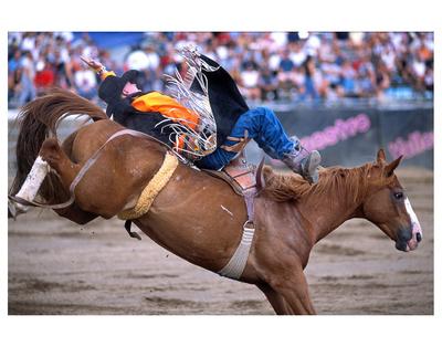 'Rodeo in Valleyfield, Quebec, Canada' Premium Giclee Print ...
