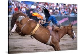 Rodeo in Valleyfield, Quebec, Canada-null-Stretched Canvas