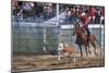 Rodeo in Valleyfield, Quebec, Canada-null-Mounted Art Print