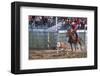 Rodeo in Valleyfield, Quebec, Canada-null-Framed Art Print