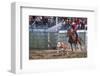 Rodeo in Valleyfield, Quebec, Canada-null-Framed Art Print