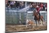 Rodeo in Valleyfield, Quebec, Canada-null-Mounted Art Print