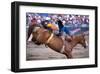 Rodeo in Valleyfield, Quebec, Canada-null-Framed Art Print