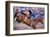 Rodeo in Valleyfield, Quebec, Canada-null-Framed Art Print