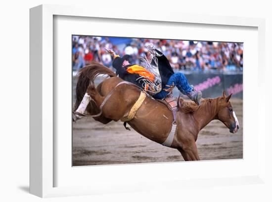 Rodeo in Valleyfield, Quebec, Canada-null-Framed Art Print