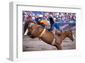 Rodeo in Valleyfield, Quebec, Canada-null-Framed Art Print