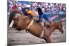 Rodeo in Valleyfield, Quebec, Canada-null-Mounted Art Print