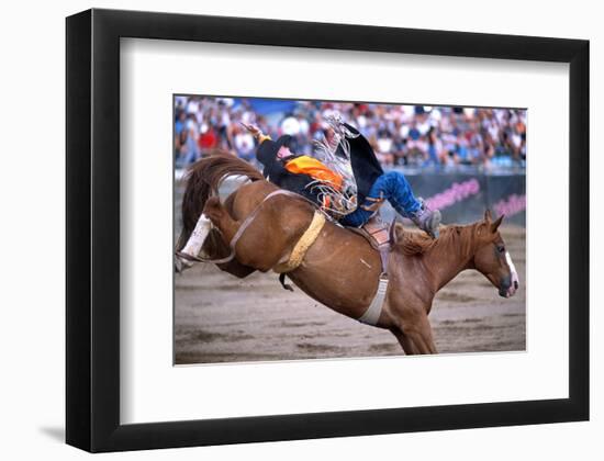 Rodeo in Valleyfield, Quebec, Canada-null-Framed Art Print