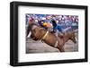 Rodeo in Valleyfield, Quebec, Canada-null-Framed Art Print