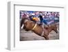 Rodeo in Valleyfield, Quebec, Canada-null-Framed Art Print