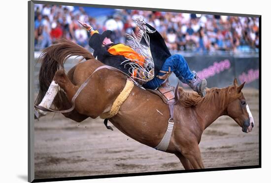 Rodeo in Valleyfield, Quebec, Canada-null-Mounted Art Print