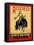 Rodeo Safety Matches-Mark Rogan-Framed Stretched Canvas