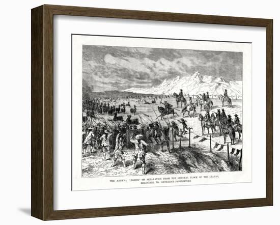 Rodeo, South America, 1877-null-Framed Giclee Print