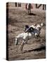 Rodeo, Truckee, California, USA-null-Stretched Canvas