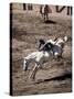 Rodeo, Truckee, California, USA-null-Stretched Canvas