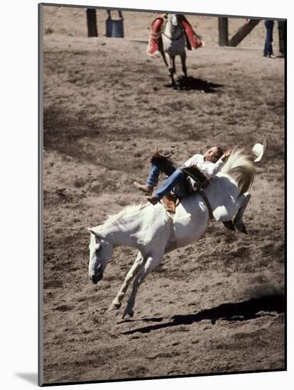 Rodeo, Truckee, California, USA-null-Mounted Photographic Print