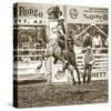 Rodeo-Barry Hart-Stretched Canvas