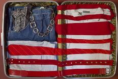 American Suitcase-Roderick E. Stevens-Giclee Print