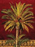 Canary Palm-Rodolfo Jimenez-Art Print