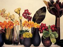 Orchid Trio II-Rodolfo Jimenez-Art Print
