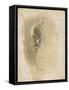 Rodolphe Bresdin (1825-1885), dessinateur, graveur-Odilon Redon-Framed Stretched Canvas