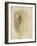 Rodolphe Bresdin (1825-1885), dessinateur, graveur-Odilon Redon-Framed Giclee Print