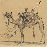 Camel-Rodolphe Bresdin-Giclee Print