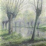 Spring Willows on the Riverbank-Rodolphe Wytsman-Framed Stretched Canvas