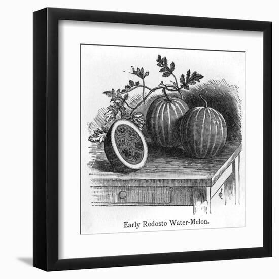 Rodosto Water Melon-null-Framed Art Print