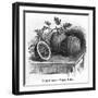 Rodosto Water Melon-null-Framed Art Print