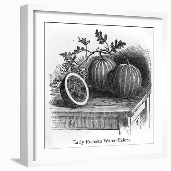 Rodosto Water Melon-null-Framed Art Print