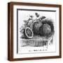 Brown Frame