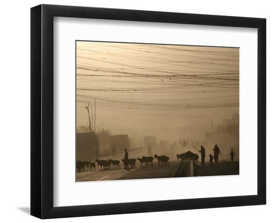 Premium Photographic Print, , large